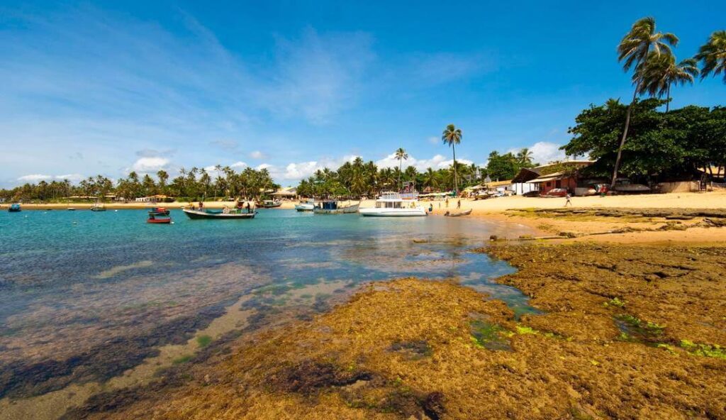 Praia do Forte, Bahia