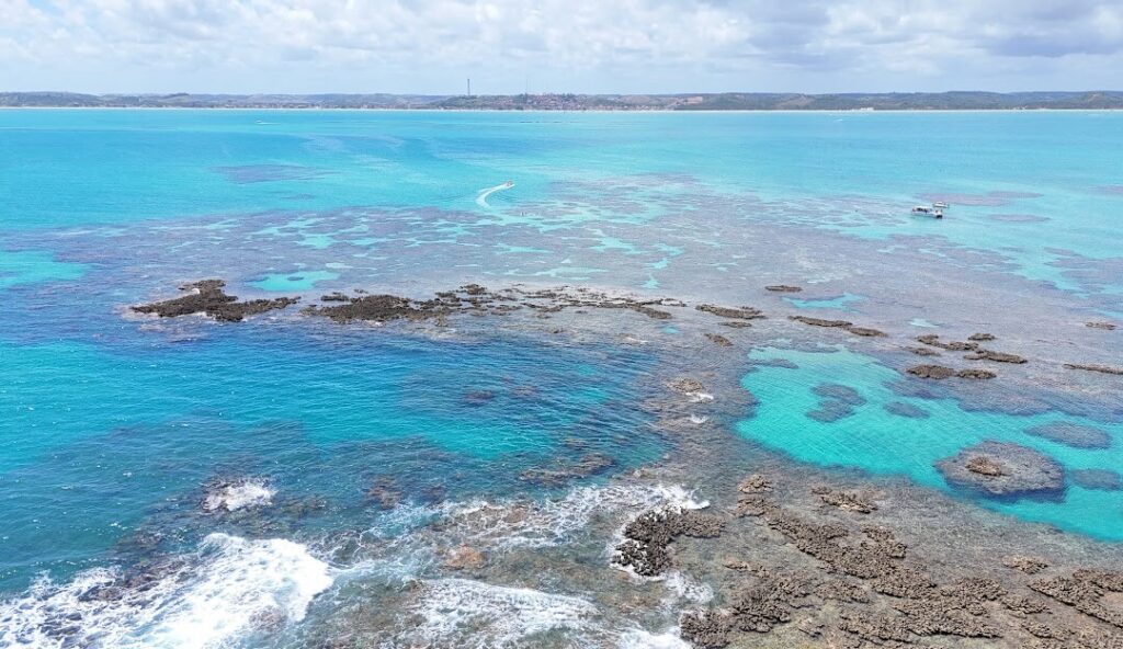 Tamandaré, Pernambuco