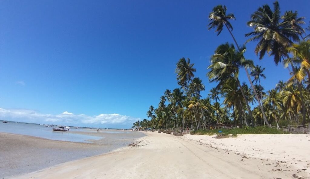 Tamandaré, Pernambuco